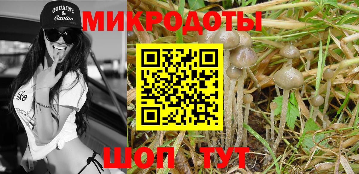Псилоцибиновые грибы Magic Shrooms Карталы